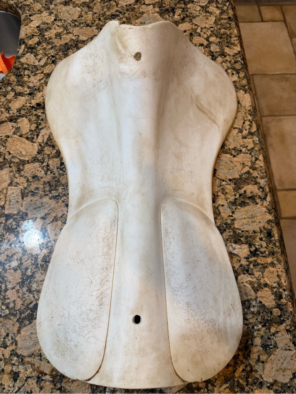 Equestrian item English saddle riser conformed white foam pad. Read disclosure